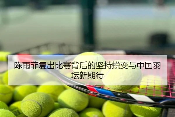 陈雨菲复出比赛背后的坚持蜕变与中国羽坛新期待