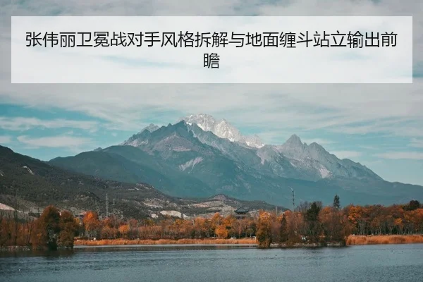 张伟丽卫冕战对手风格拆解与地面缠斗站立输出前瞻
