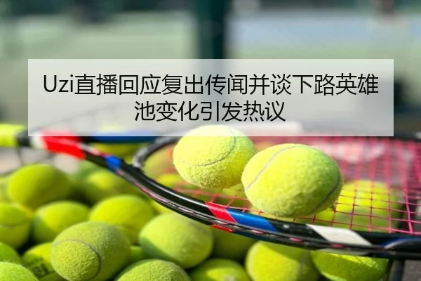 Uzi直播回应复出传闻并谈下路英雄池变化引发热议